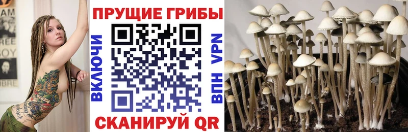 Псилоцибиновые грибы мухоморы  Котельнич 